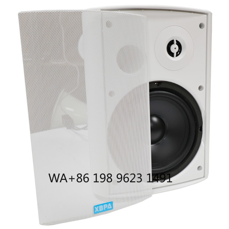 5.1 Draadloze WiFi Wand-/Plafo - Home Theater Speaker recensie en prijs
